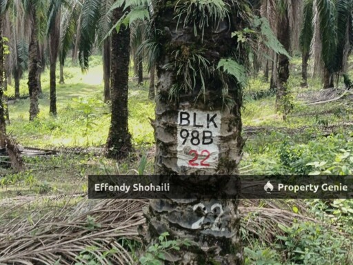TEMERLOH KERDAU DEVELOPMENT LAND