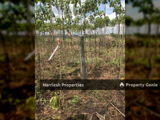 Agricultural Land for Sale in Johan Setia Klang