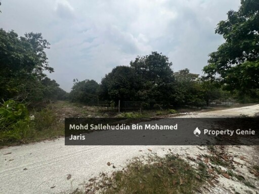 TANAH PERTANIAN 1 EKAR KG SERI DAMAI, KUANTAN PAHANG