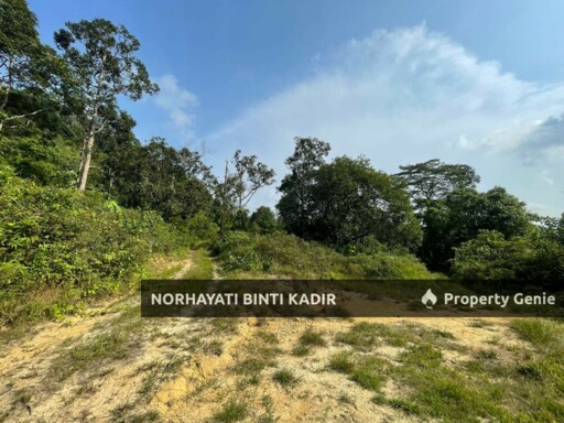 (HOT AREA) TANAH KEBUN DI BUKIT KUIN 2, KUANTAN