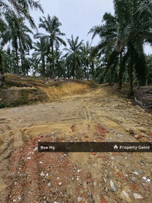 Ulu Choh / Agricultural Land
