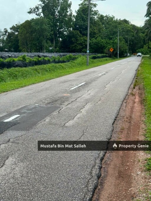 [Tanah Pertanian] Kampung Selamat, Tasek Gelugor