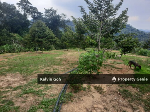 10 Acres Agriculture Land Freehold Temiang Seremban