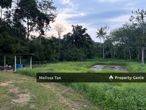 [Jasin Land- Durian Farm] For Sale