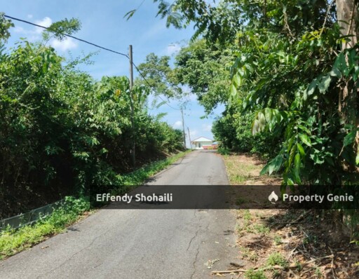 KUALA KLAWANG KG PAH TANAH PERTANIAN