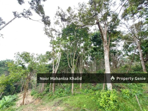Tanah Pertanian Kampung Ibol Seberang @ Solok Lanjut Manis, Terachi Kuala Pilah