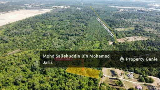 TANAH PERTANIAN KG BENTAN, PEKAN