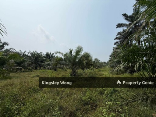 Sungai Siput 2 Acres Land Road Side Land Flat Land