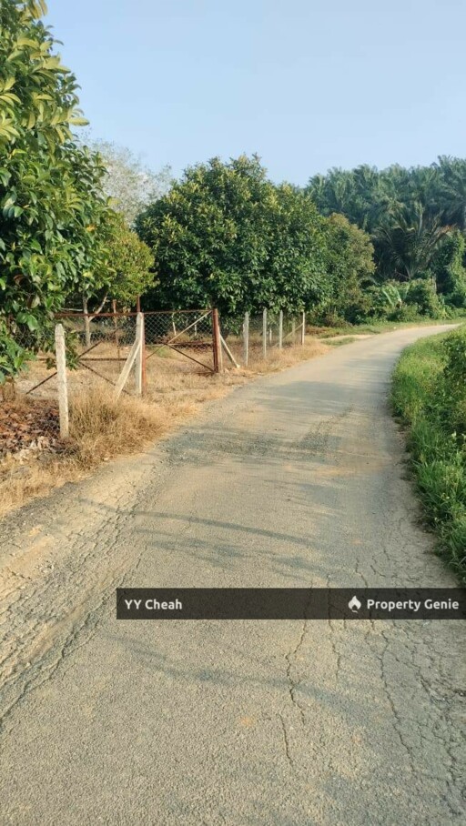 Kuala Kangsar Perak - freehold agriculture for sale, 4 acres, easy access