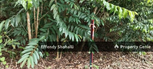 SEMENYIH SUNGAI PENING TANAH PERTANIAN
