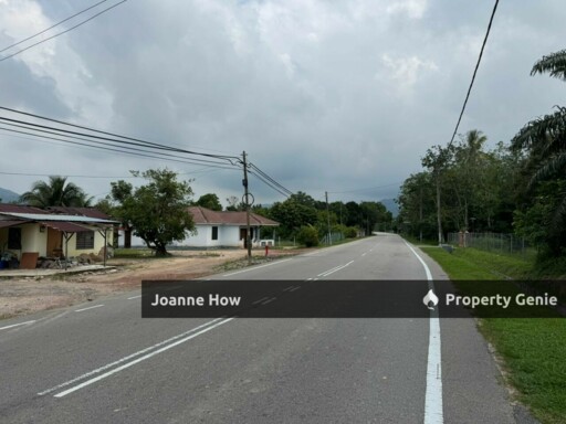 Roadside Oil Palm Land Asahan Nyalas Jasin For Sale
