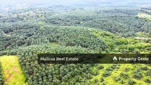 TANAH PERTANIAN JABUR TERENGGANU