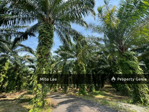 Agricultural Land @ Gelang Patah