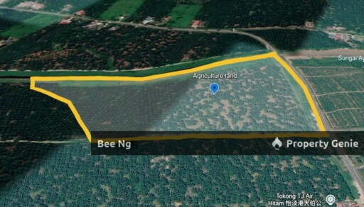 Pontian / Jalan Parit Haji Adnan / Agricultural Land / 1st layer Flat Terrain