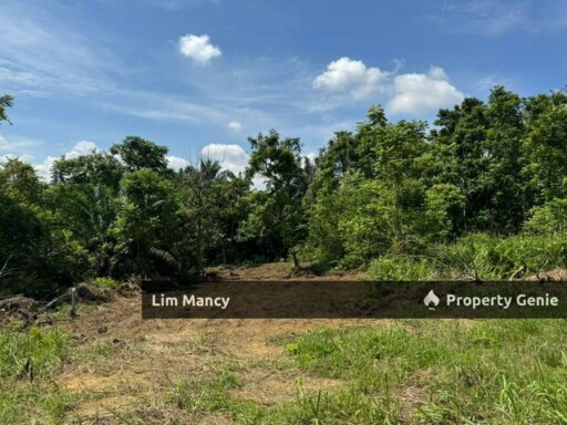 Kempas Medium Industrial Land Facing Highway