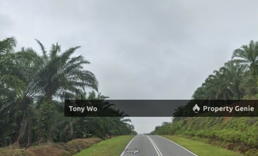 Agriculture Land For Sale  at Johor