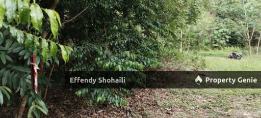 SEMENYIH SUNGAI PENING TANAH PERTANIAN
