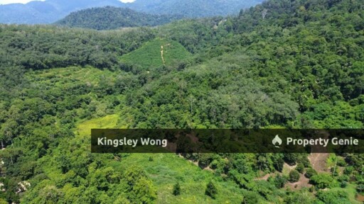 Kati, Kuala Kangsar Freehold Agricultural Land 6.1 Acres Agricultural Land