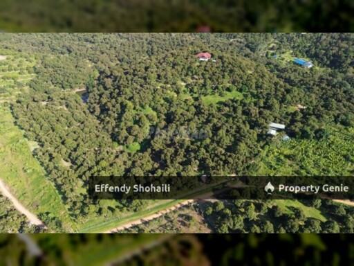 RAUB KG TRAS DURIAN ORCHARD