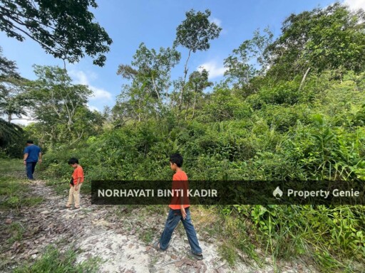 (HOT AREA) TANAH KEBUN DI BUKIT KUIN 2, KUANTAN