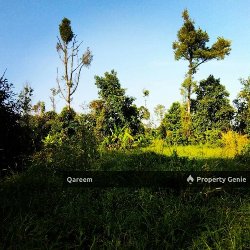 5.63 Ekar Freehold Agri Land Ulu Yam. Selangor