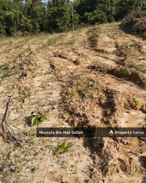 Tanah Kebun Getah Klon PB 350 Lubok Datu Pokok Sena Kedah