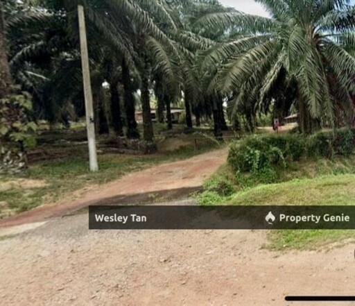 495-Acre Freehold Agricultural Land Jasin, Rim Melaka For Sale / Rent