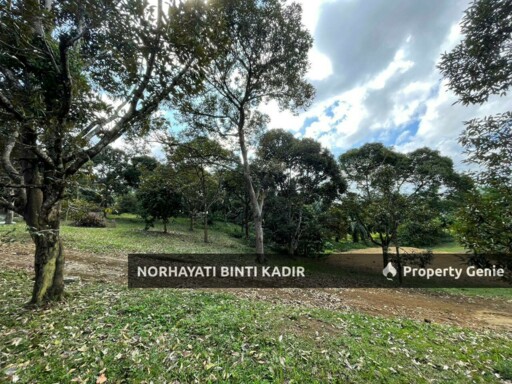 (HOT AREA) LOT BANGLO RTP BUKIT GOH BERHAMPIRAN KOTASAS