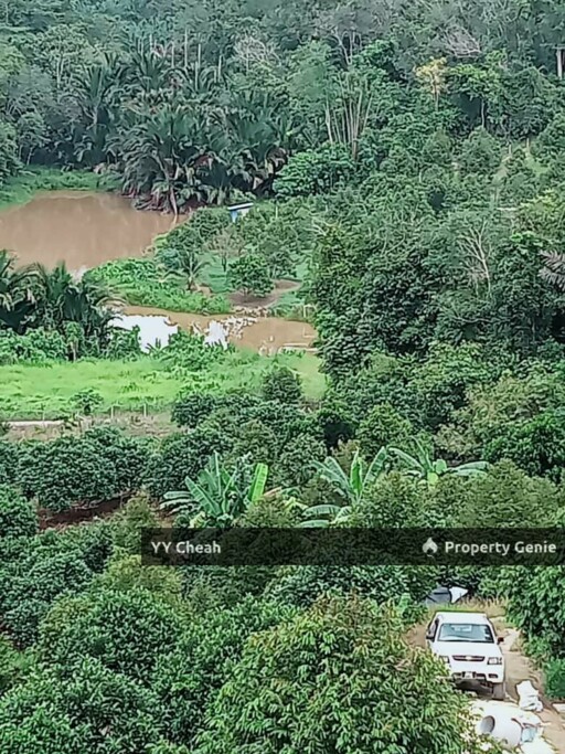 Kuala Kangsar Perak - freehold agriculture for sale, 4 acres, easy access