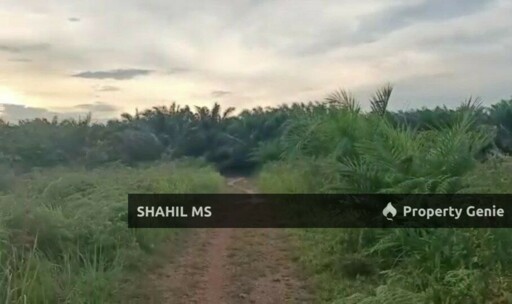 SIMPANG RENGAM JOHOR || JALAN PARIT HAJI YASSIN || TANAH PERTANIAN || 3.852 EKAR || REZAB MELAYU || LEASEHOLAD || RM 220,000