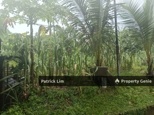 [Freehold] Agricultural Land For Sale @ Mukim Padang Sebang, Melaka