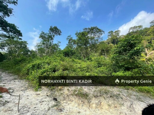 (HOT AREA) TANAH KEBUN DI BUKIT KUIN 2, KUANTAN