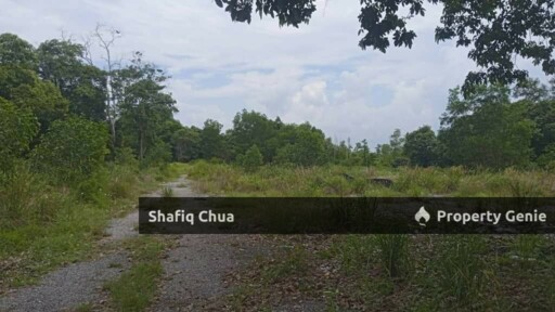 Prime Land for Sale in Pekan Pahang