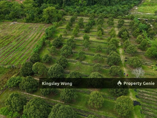 Lawin Kuala Kangsar Freehold Agricultural Land Existing Chalet