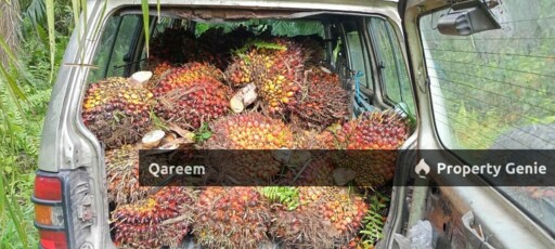 5.4 Ekar Ladang Kelapa Sawit Nyiur Sebatang Sabak Bernam