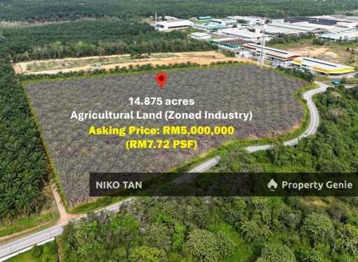 Kota Tinggi  Agriculture Land With Oil Palm Tree For Sale