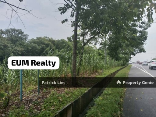 [Freehold] Agricultural Land For Sale @ Mukim Padang Sebang, Melaka
