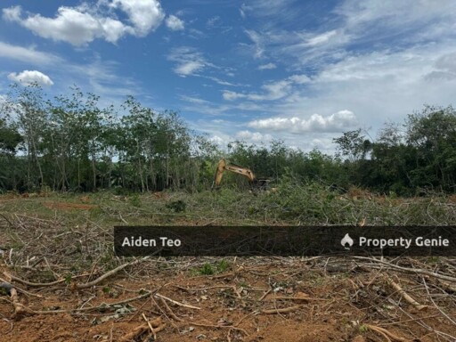 Durian Tunggal For Sale Taman Nuri Sentosa For Sale