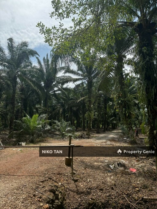 Pontian Land Beside Main Road Skudai - Pontian Highway