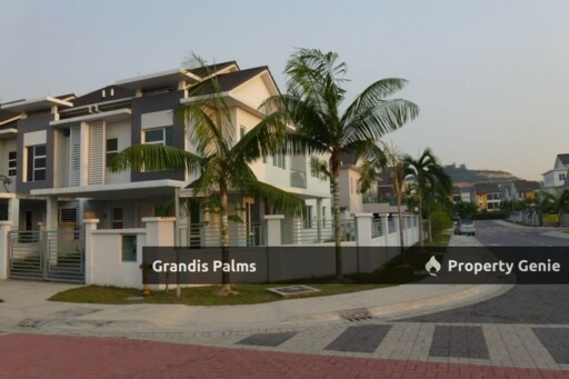 Grandis Palms