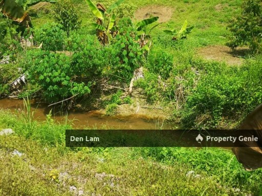 Raub Sungai Ruan Durian Farm for Sale !!