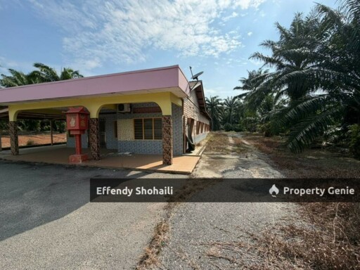 PORT DICKSON CHUAH OIL PALM ORCHARD