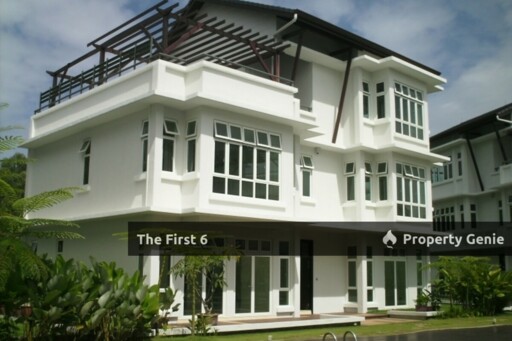 The First 6
