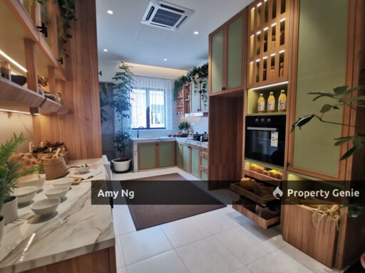 New Project 2 Storey Big Size Botani For Sale