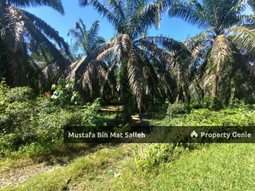 [FREEHOLD] Kampung Sungai Badak, Sedim, Kulim