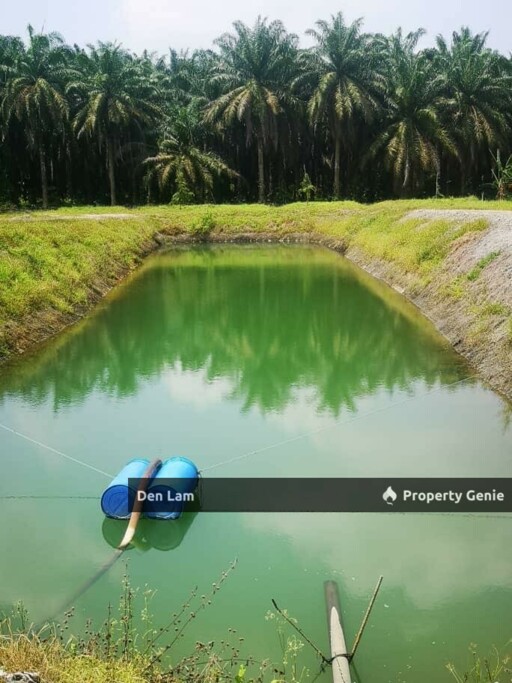 Raub Sungai Ruan Durian Farm for Sale !!