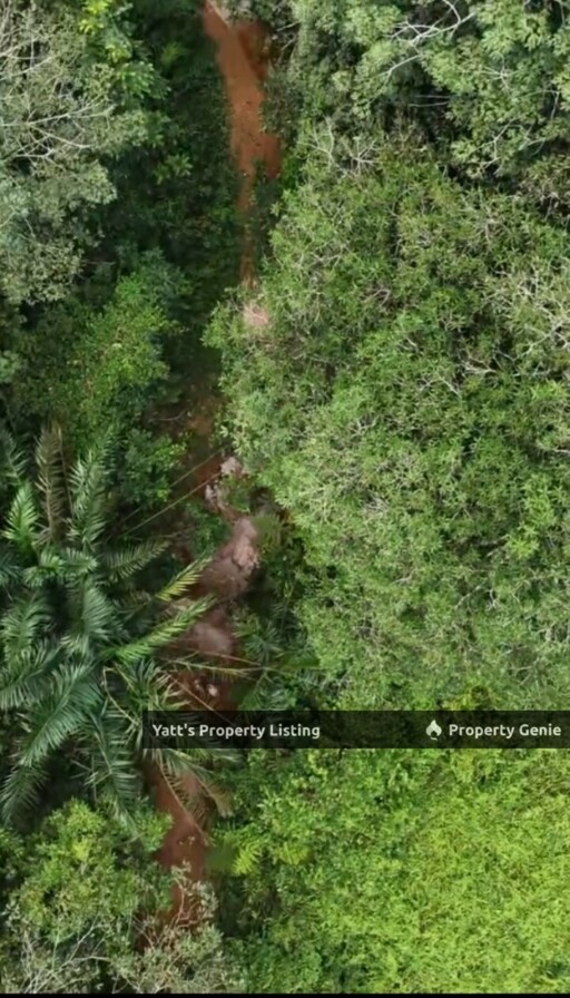 1 Acre Agricultural Land for Sale  Sg Merab, Kajang    Durian Orchard Near River, 5 Mins to IOI City Mall - RM750k  Https://Www.Wassap.My/60163169225/Tanahkgsgmerab1 Acre Agricultural Land for Sale  S