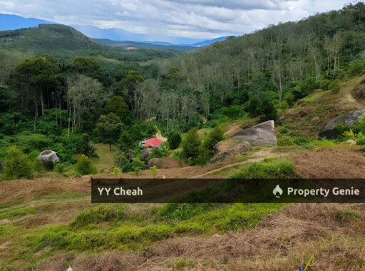 Sungai Siput Durian Farm Freehold with mountain water