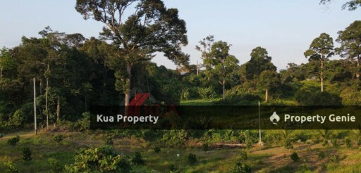 Agriculture Land For Sale! Located at Serian