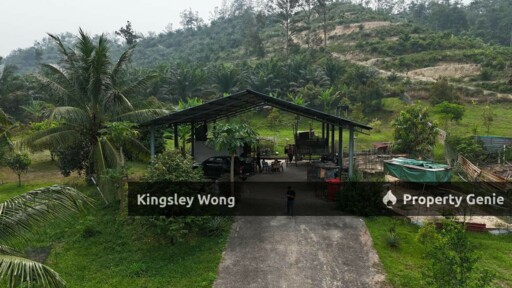 Jalong Tinggi Sg Siput Easy Entry with Asphalt Road 4 Acres Durian Orchard Farm